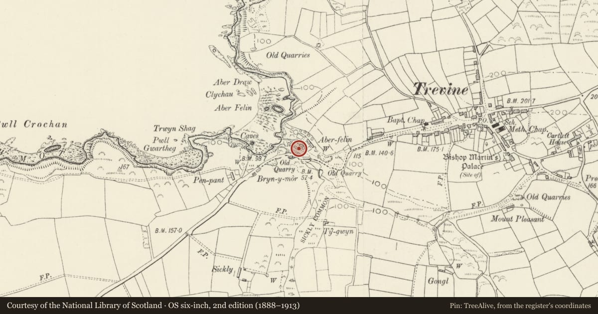 Ordnance Survey six-inch map, 2nd edition (1888–1913) covering the location of Aberfelin Mill, Llanrhian, Pembrokeshire, with a pin at the register's coordinates