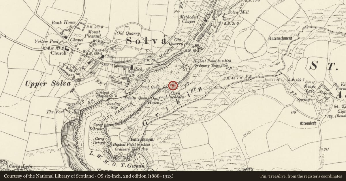 Ordnance Survey six-inch map, 2nd edition (1888–1913) covering the location of Lime Kilns, Solva, Pembrokeshire, with a pin at the register's coordinates