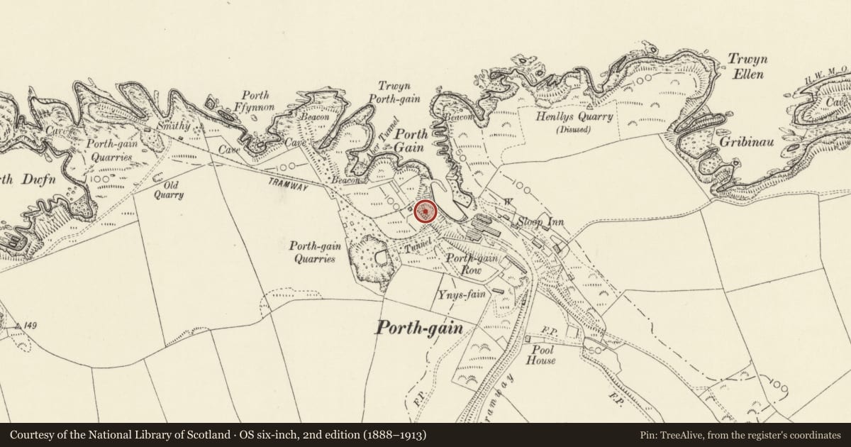 Ordnance Survey six-inch map, 2nd edition (1888–1913) covering the location of Porthgain Quarry and Harbour, Llanrhian, Pembrokeshire, with a pin at the register's coordinates