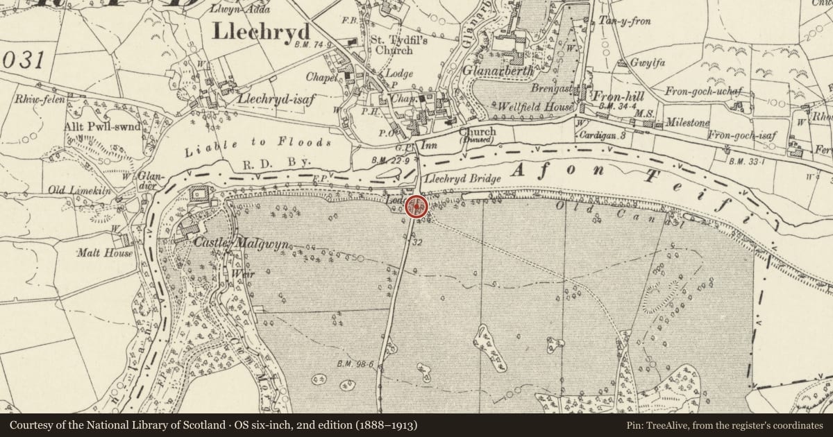 Ordnance Survey six-inch map, 2nd edition (1888–1913) covering the location of Castle Malgwyn Bridge, Manordeifi, Pembrokeshire, with a pin at the register's coordinates