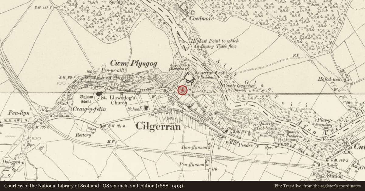 Ordnance Survey six-inch map, 2nd edition (1888–1913) covering the location of Cilgerran Castle Additional Area, Pembrokeshire, with a pin at the register's coordinates