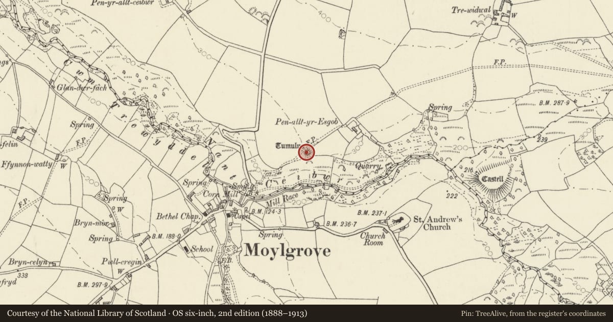 Ordnance Survey six-inch map, 2nd edition (1888–1913) covering the location of Penrallt yr Esgob Cairn, Nevern, Pembrokeshire, with a pin at the register's coordinates