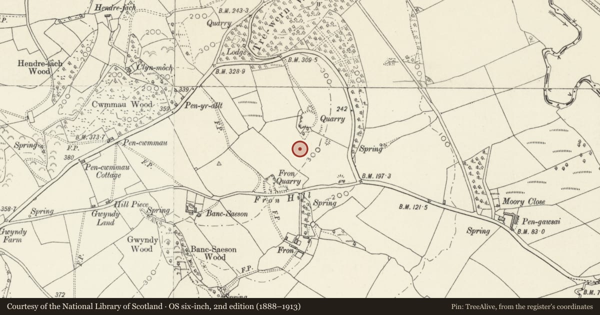 Ordnance Survey six-inch map, 2nd edition (1888–1913) covering the location of Pengawse Ring Cairn, Llanddewi Velfrey, Pembrokeshire, with a pin at the register's coordinates