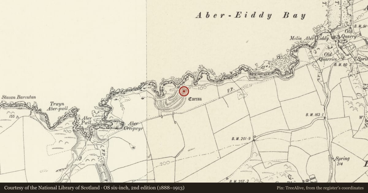 Ordnance Survey six-inch map, 2nd edition (1888–1913) covering the location of Caerau Promontory Forts, St. David's and the Cathedral Close, Pembrokeshire, with a pin at the register's coordinates
