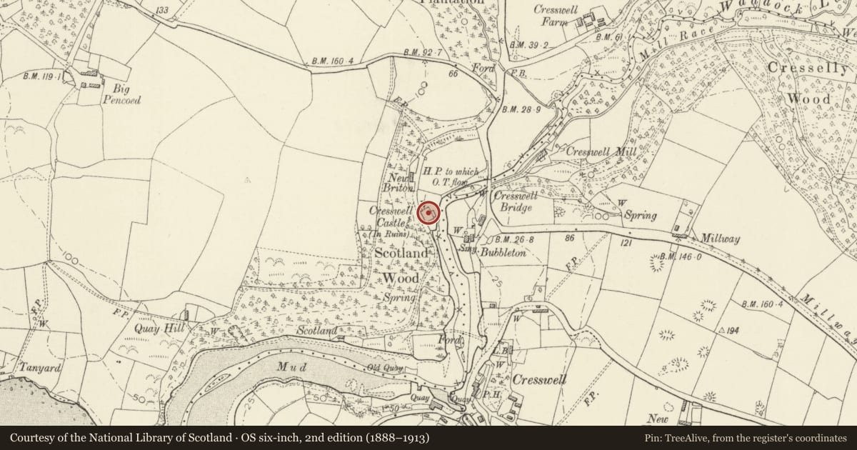 Ordnance Survey six-inch map, 2nd edition (1888–1913) covering the location of Cresswell Castle 100m W of Cresswell Quay, Martletwy, Pembrokeshire, with a pin at the register's coordinates
