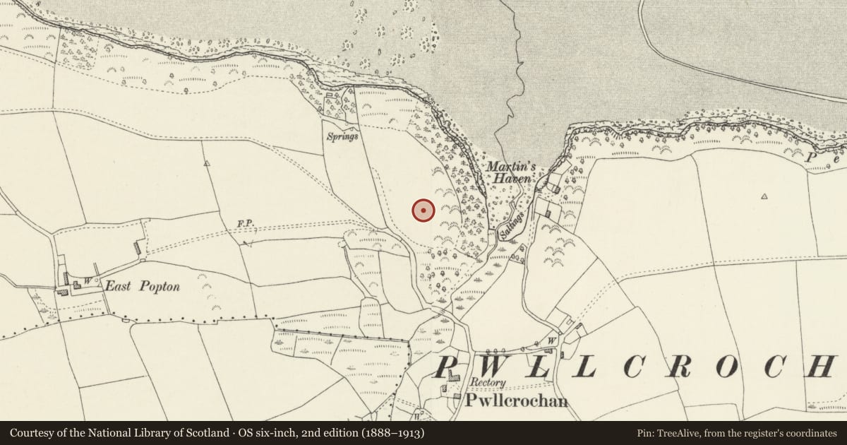 Ordnance Survey six-inch map, 2nd edition (1888–1913) covering the location of Enclosure & Earthworks at Lewiston Hall, Hundleton, Pembrokeshire, with a pin at the register's coordinates