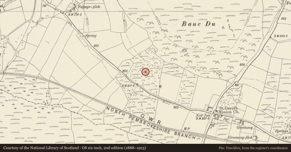 Ordnance Survey six-inch map, 2nd edition (1888–1913) covering the location of Deserted Medieval Site at New Inn, Puncheston, Pembrokeshire, with a pin at the register's coordinates