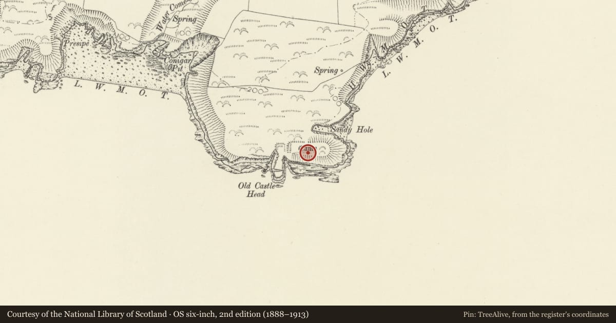 Ordnance Survey six-inch map, 2nd edition (1888–1913) covering the location of Old Castle Head Promontory Fort, Manorbier, Pembrokeshire, with a pin at the register's coordinates