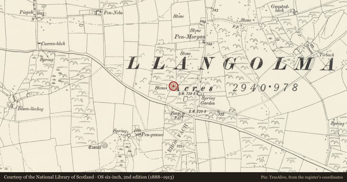 Ordnance Survey six-inch map, 2nd edition (1888–1913) covering the location of Standing Stone 110m NW of Spring Gardens, Mynachlog-Ddu, Pembrokeshire, with a pin at the register's coordinates