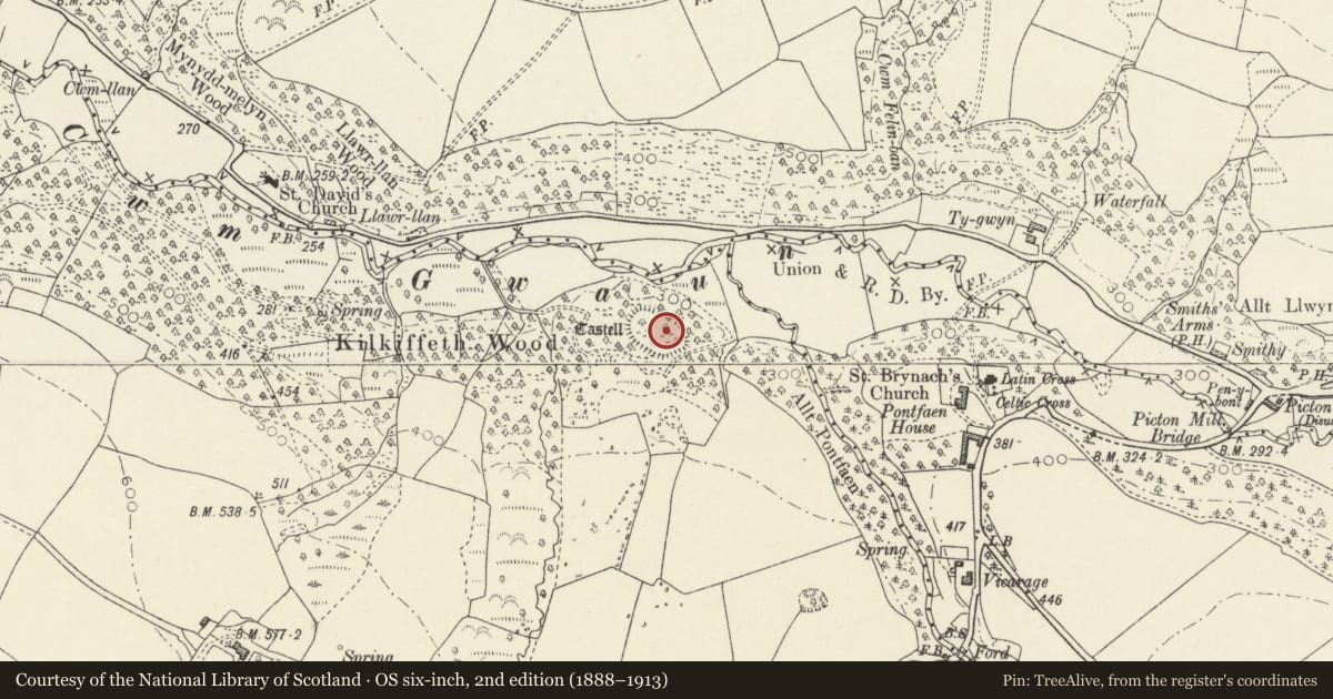 Ordnance Survey six-inch map, 2nd edition (1888–1913) covering the location of Iron Age Enclosure in Kilkiffeth Wood, Cwm Gwaun, Pembrokeshire, with a pin at the register's coordinates