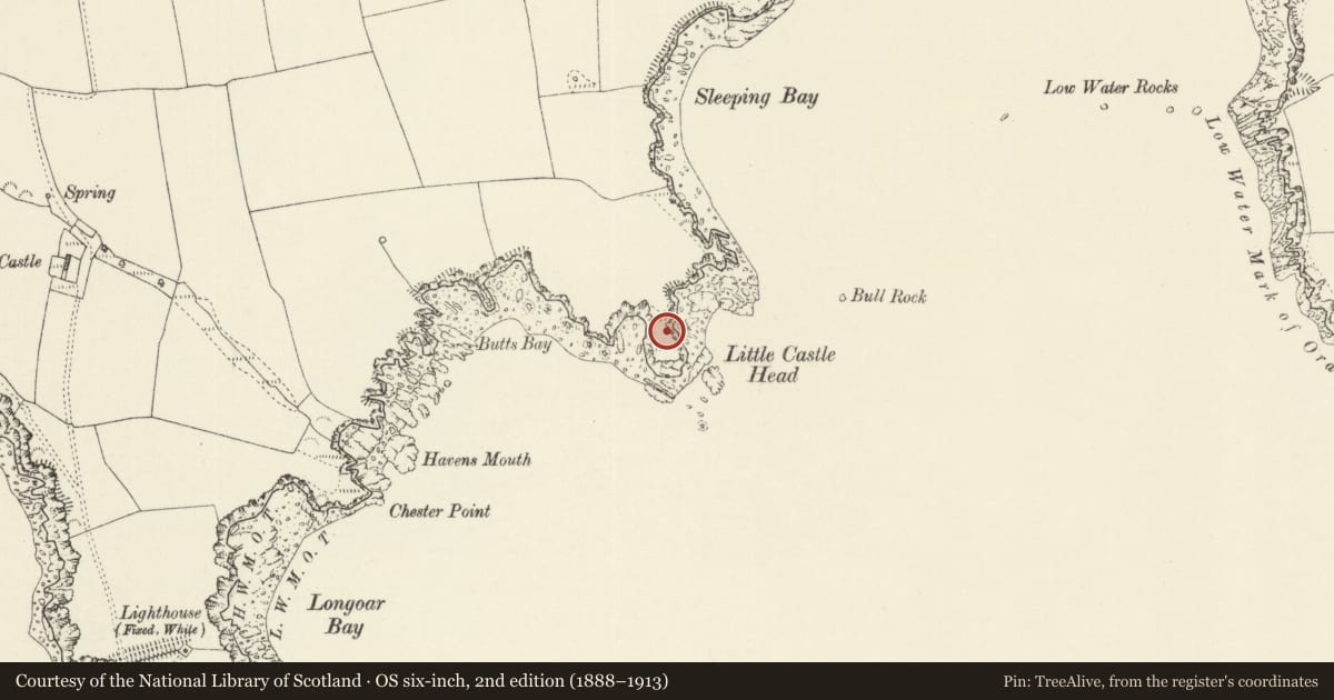 Ordnance Survey six-inch map, 2nd edition (1888–1913) covering the location of Promontory Fort on Little Castle Head, St. Ishmael's, Pembrokeshire, with a pin at the register's coordinates