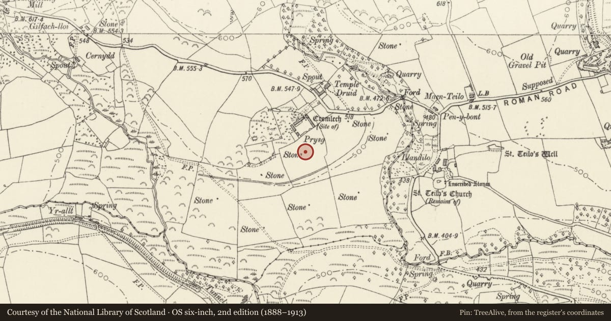 Ordnance Survey six-inch map, 2nd edition (1888–1913) covering the location of Standing Stone S of Prysg Farm, Maenclochog, Pembrokeshire, with a pin at the register's coordinates