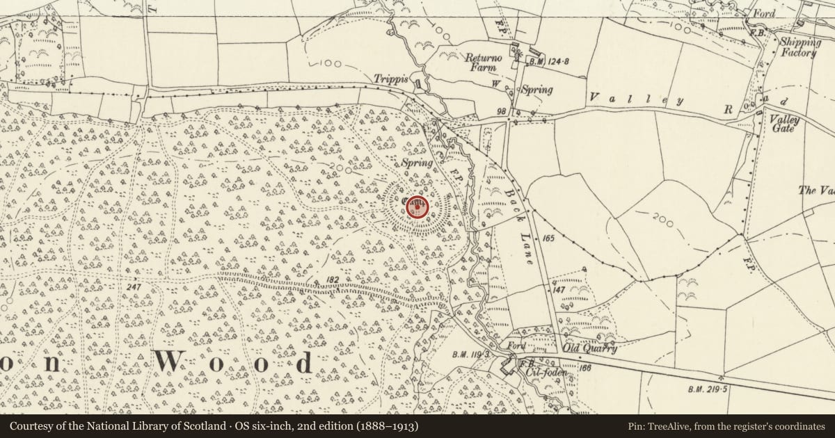 Ordnance Survey six-inch map, 2nd edition (1888–1913) covering the location of Iron Age Hillslope Enclosure in Canaston Wood, Llawhaden, Pembrokeshire, with a pin at the register's coordinates