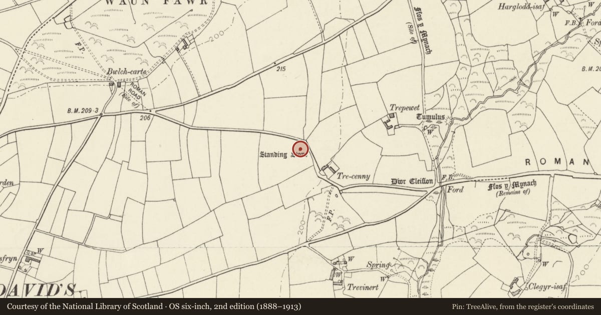 Ordnance Survey six-inch map, 2nd edition (1888–1913) covering the location of Standing Stone NW of Trecenny Farm, St. David's and the Cathedral Close, Pembrokeshire, with a pin at the register's coordinates