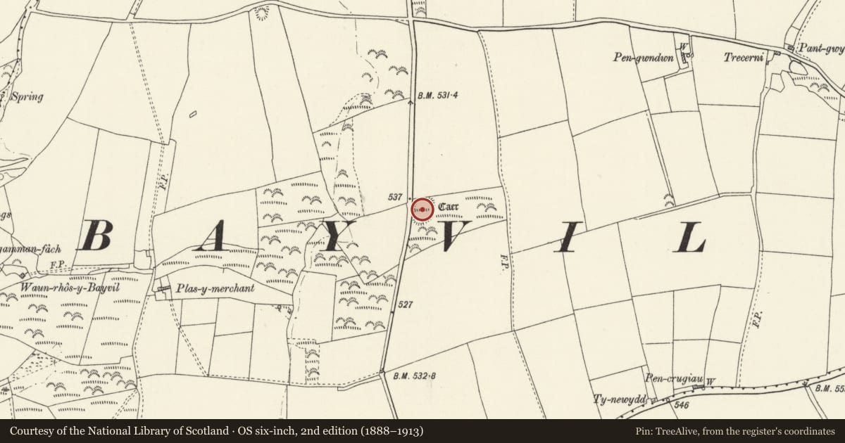 Ordnance Survey six-inch map, 2nd edition (1888–1913) covering the location of Caer, Bayvil, Nevern, Pembrokeshire, with a pin at the register's coordinates