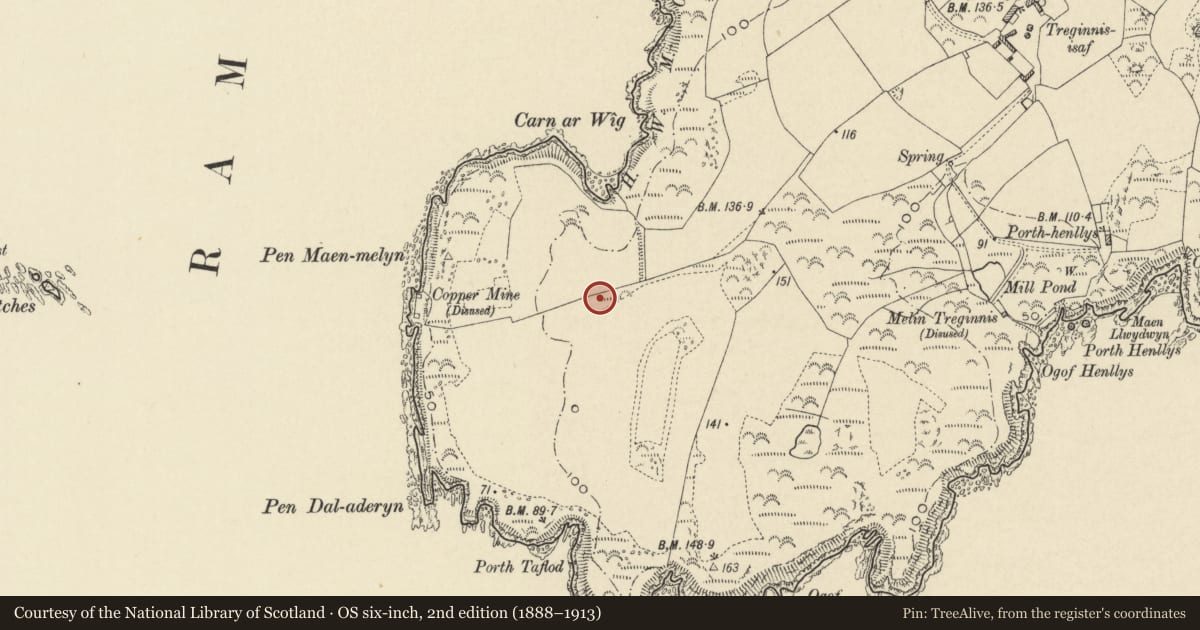 Ordnance Survey six-inch map, 2nd edition (1888–1913) covering the location of Lower Tregennis Burial Chamber, St. David's and the Cathedral Close, Pembrokeshire, with a pin at the register's coordinates