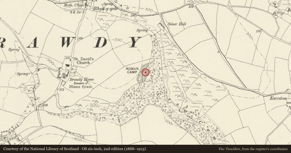 Ordnance Survey six-inch map, 2nd edition (1888–1913) covering the location of Brawdy Promontory Fort, Pembrokeshire, with a pin at the register's coordinates
