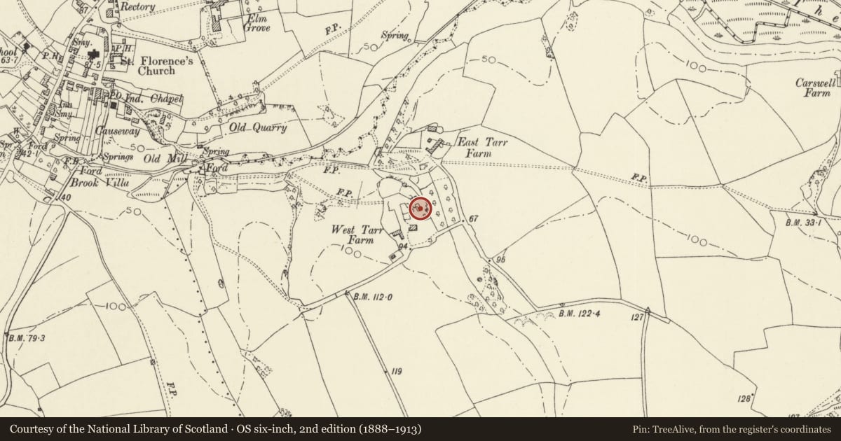 Ordnance Survey six-inch map, 2nd edition (1888–1913) covering the location of West Tarr Vaulted Hall House, Penally, Pembrokeshire, with a pin at the register's coordinates