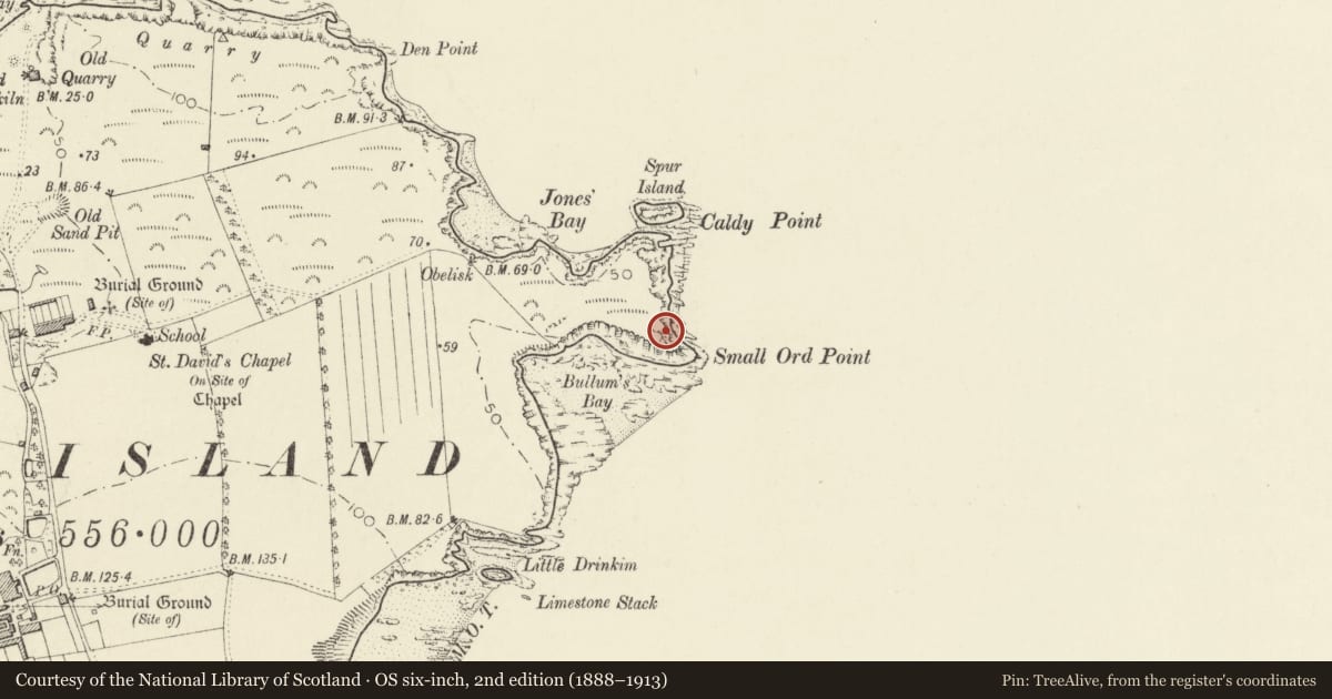 Ordnance Survey six-inch map, 2nd edition (1888–1913) covering the location of Daylight Rock Mesolithic Site, Tenby, Pembrokeshire, with a pin at the register's coordinates