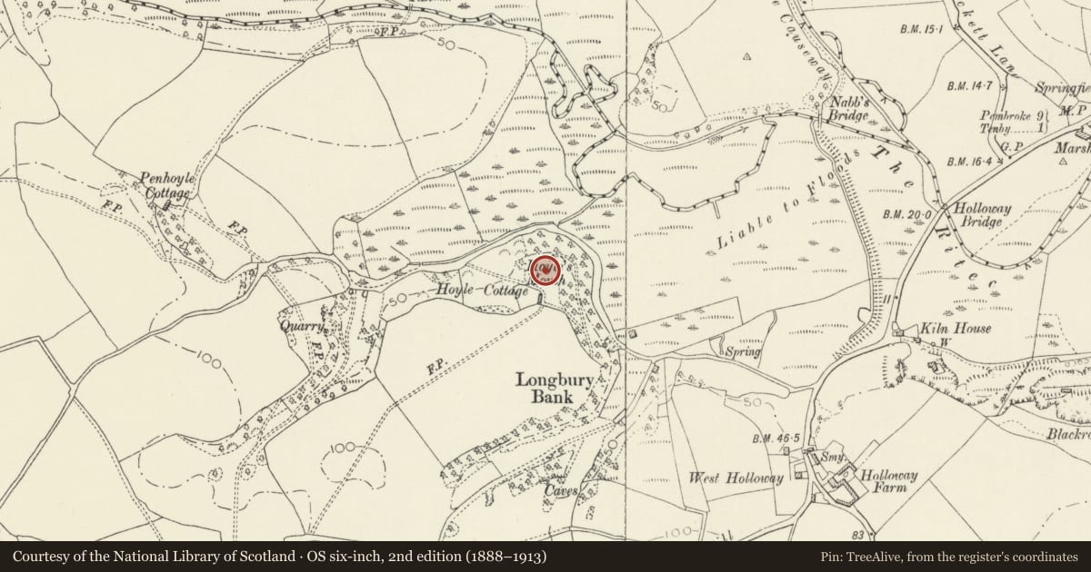 Ordnance Survey six-inch map, 2nd edition (1888–1913) covering the location of Hoyle Mouth Cave, Penally, Pembrokeshire, with a pin at the register's coordinates