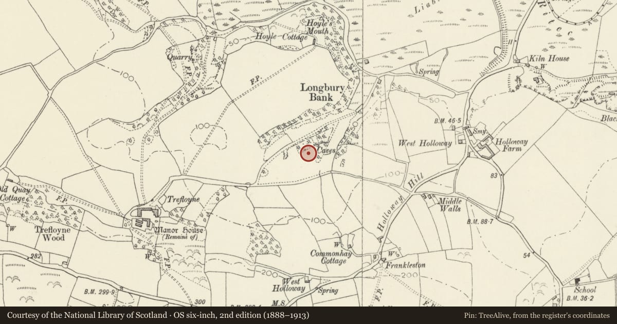 Ordnance Survey six-inch map, 2nd edition (1888–1913) covering the location of Little Hoyle Cave and Longbury Bank Dark Age Site, Penally, Pembrokeshire, with a pin at the register's coordinates