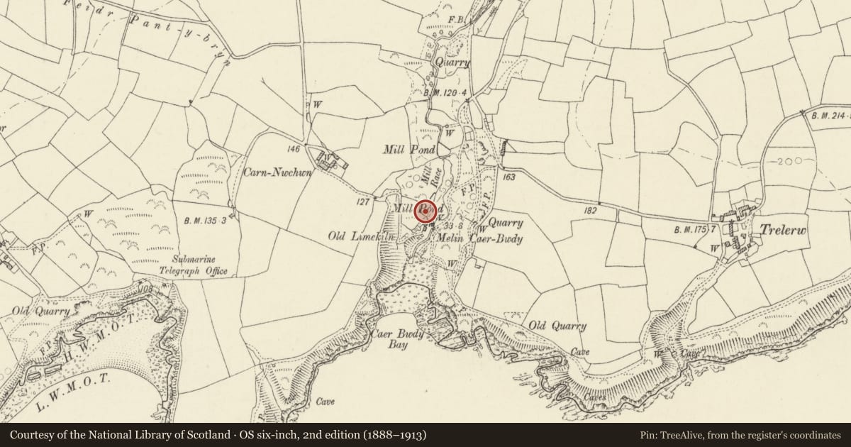 Ordnance Survey six-inch map, 2nd edition (1888–1913) covering the location of Cottage, Mill and Lime Kiln at Caerbwdy, St. David's and the Cathedral Close, Pembrokeshire, with a pin at the register's coordinates