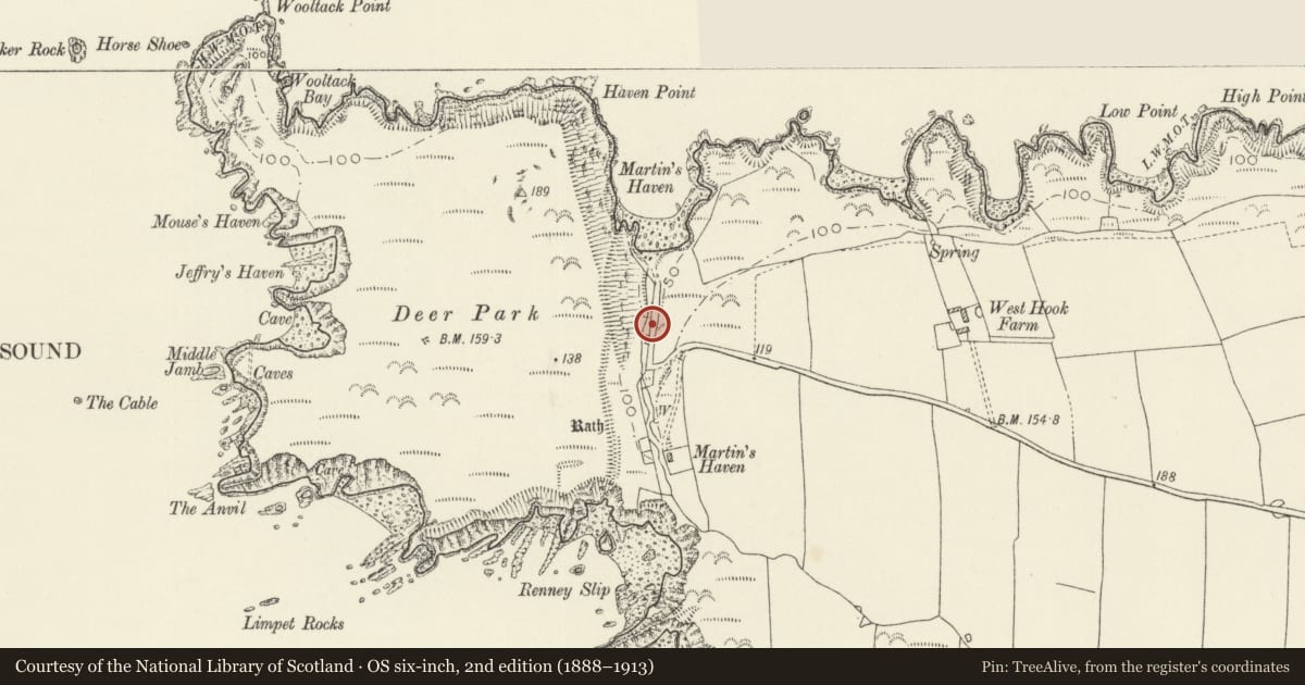 Ordnance Survey six-inch map, 2nd edition (1888–1913) covering the location of Martin's Haven Early Christian Inscribed Cross, Marloes and St. Brides, Pembrokeshire, with a pin at the register's coordinates