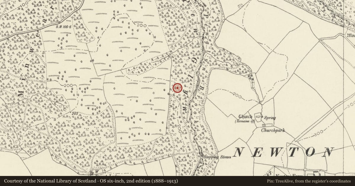 Ordnance Survey six-inch map, 2nd edition (1888–1913) covering the location of Minwear Ringwork, Martletwy, Pembrokeshire, with a pin at the register's coordinates
