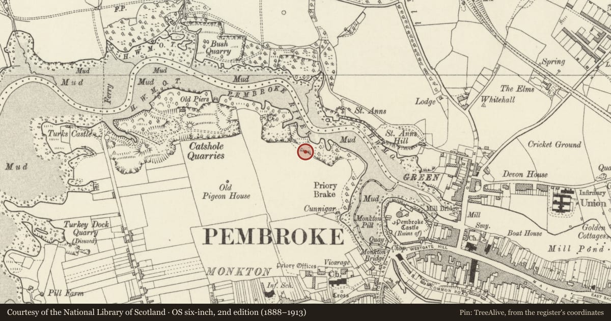 Ordnance Survey six-inch map, 2nd edition (1888–1913) covering the location of Priory Farm Cave, Pembroke, Pembrokeshire, with a pin at the register's coordinates