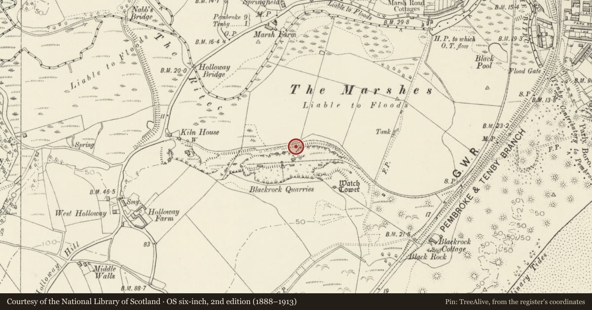 Ordnance Survey six-inch map, 2nd edition (1888–1913) covering the location of Black Rock Quarry Lime Kilns, Tenby, Pembrokeshire, with a pin at the register's coordinates