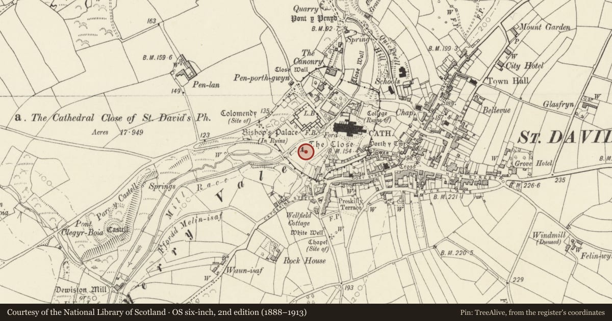 Ordnance Survey six-inch map, 2nd edition (1888–1913) covering the location of St Davids Cathedral Close: Chanter's Orchard, St. David's and the Cathedral Close, Pembrokeshire, with a pin at the register's coordinates