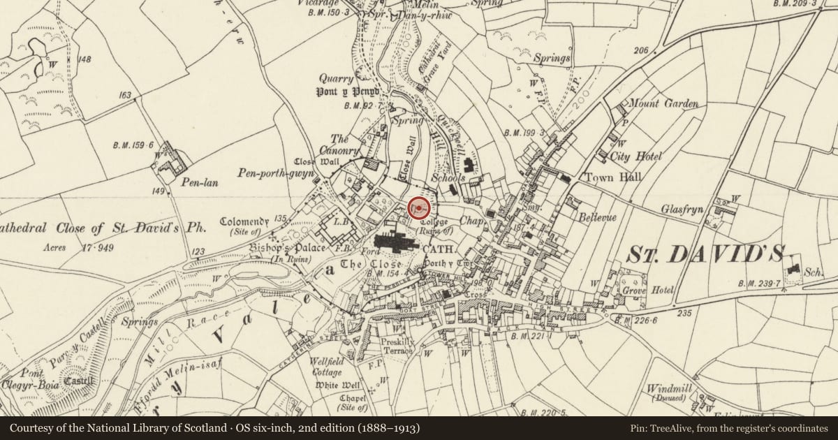 Ordnance Survey six-inch map, 2nd edition (1888–1913) covering the location of St Davids Cathedral Close: Vicar's College, St. David's and the Cathedral Close, Pembrokeshire, with a pin at the register's coordinates