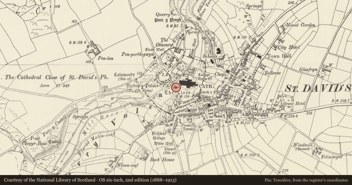 Ordnance Survey six-inch map, 2nd edition (1888–1913) covering the location of St Davids Cathedral Close: The Free School, St. David's and the Cathedral Close, Pembrokeshire, with a pin at the register's coordinates