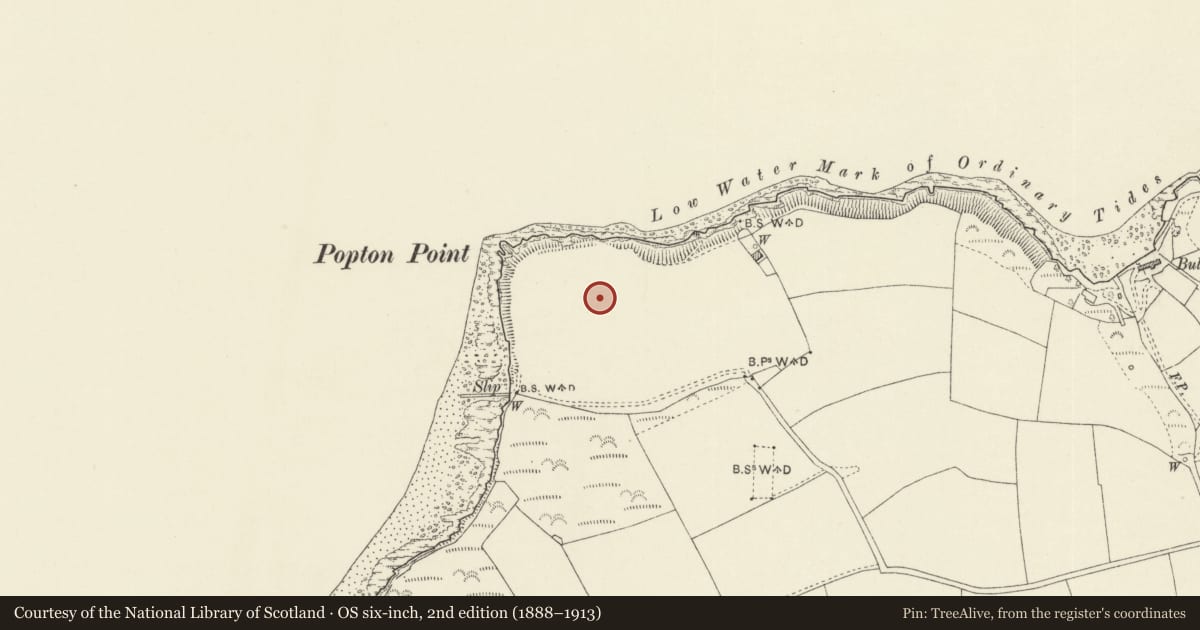 Ordnance Survey six-inch map, 2nd edition (1888–1913) covering the location of Fort Popton (Curtain Walls and Gun Emplacements only), Angle, Pembrokeshire, with a pin at the register's coordinates