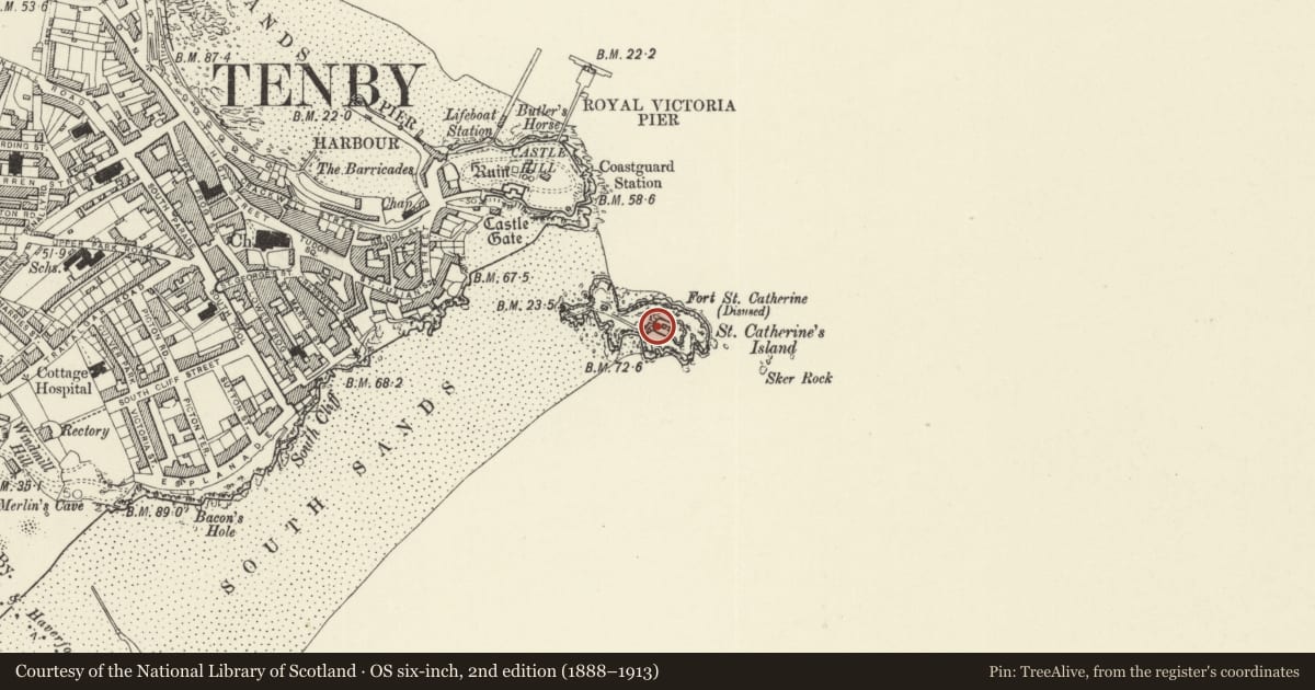 Ordnance Survey six-inch map, 2nd edition (1888–1913) covering the location of Fort St Catherine, Tenby, Pembrokeshire, with a pin at the register's coordinates