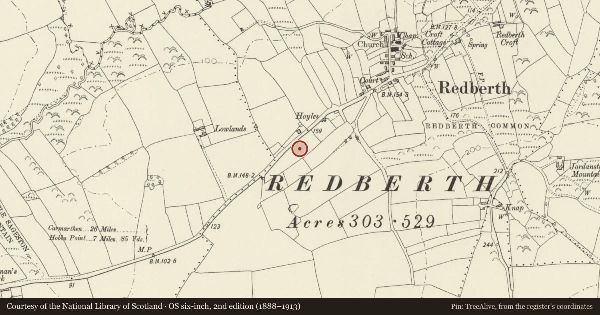 Ordnance Survey six-inch map, 2nd edition (1888–1913) covering the location of Round Barrow 110m S W of the Hoyles, Carew, Pembrokeshire, with a pin at the register's coordinates