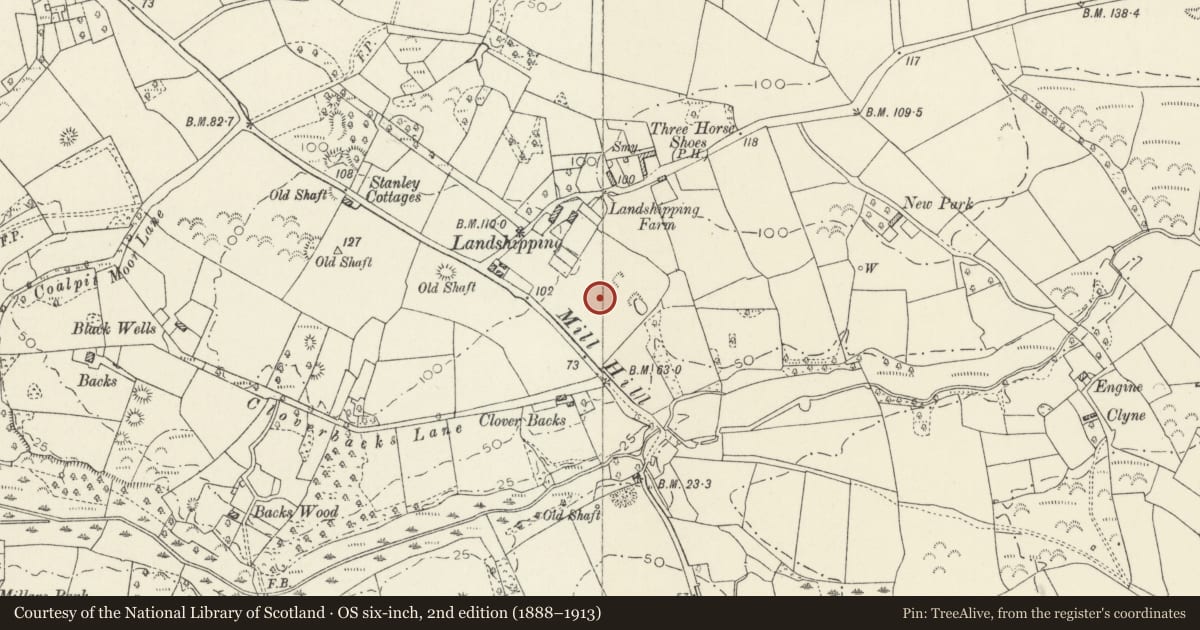 Ordnance Survey six-inch map, 2nd edition (1888–1913) covering the location of Landshipping House Garden Remains, Martletwy, Pembrokeshire, with a pin at the register's coordinates