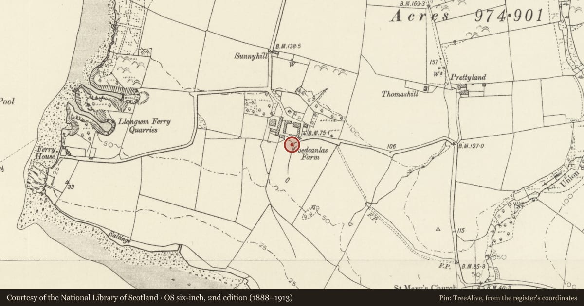 Ordnance Survey six-inch map, 2nd edition (1888–1913) covering the location of Garden Earthworks at Coedcanlas Farm, Martletwy, Pembrokeshire, with a pin at the register's coordinates