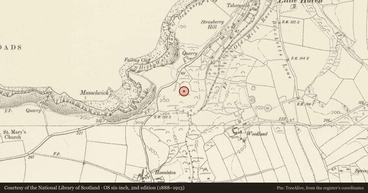Ordnance Survey six-inch map, 2nd edition (1888–1913) covering the location of Little Haven Enclosed Settlement, The Havens, Pembrokeshire, with a pin at the register's coordinates