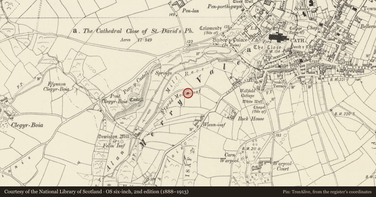 Ordnance Survey six-inch map, 2nd edition (1888–1913) covering the location of St Davids Cathedral Mill Leat, St. David's and the Cathedral Close, Pembrokeshire, with a pin at the register's coordinates