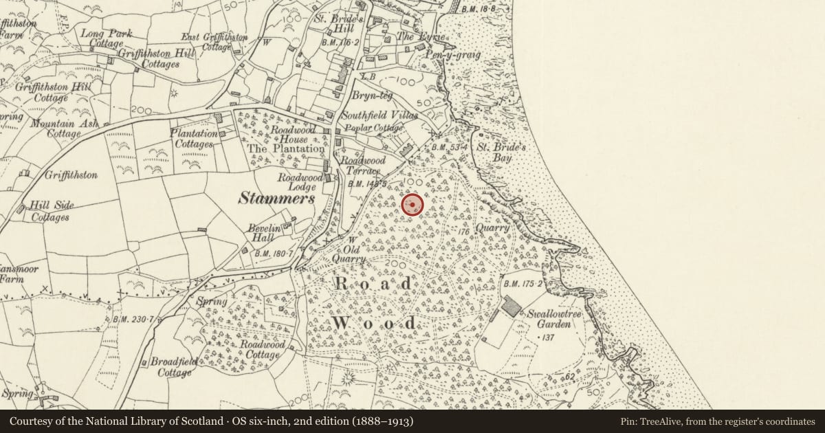 Ordnance Survey six-inch map, 2nd edition (1888–1913) covering the location of Rhode Wood Shaft Mounds, St. Mary Out Liberty, Pembrokeshire, with a pin at the register's coordinates