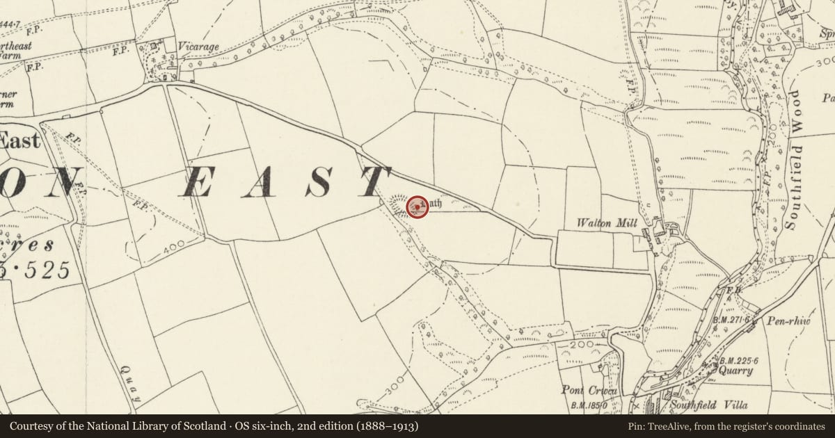 Ordnance Survey six-inch map, 2nd edition (1888–1913) covering the location of Walton Mill Rath, Wiston, Pembrokeshire, with a pin at the register's coordinates