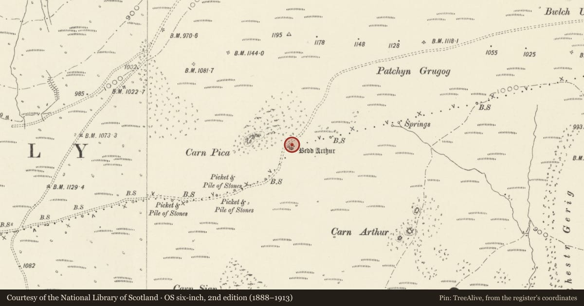 Ordnance Survey six-inch map, 2nd edition (1888–1913) covering the location of Bedd Arthur, Eglwyswrw, Pembrokeshire, with a pin at the register's coordinates