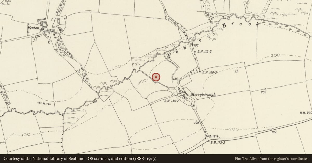 Ordnance Survey six-inch map, 2nd edition (1888–1913) covering the location of Moat NW of Merryborough Farm, Wiston, Pembrokeshire, with a pin at the register's coordinates