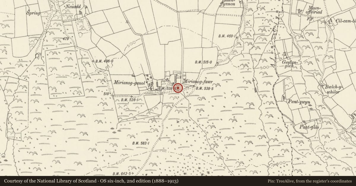 Ordnance Survey six-inch map, 2nd edition (1888–1913) covering the location of Corn Drying Kiln 130m E of Mirianog-Ganol, Eglwyswrw, Pembrokeshire, with a pin at the register's coordinates