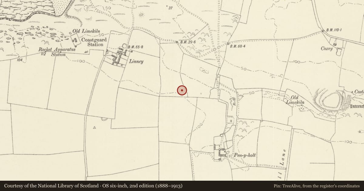 Ordnance Survey six-inch map, 2nd edition (1888–1913) covering the location of Linney Deserted Medieval Village, Castlemartin, Pembrokeshire, with a pin at the register's coordinates