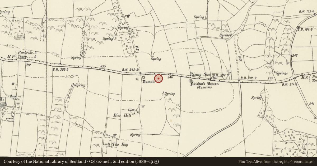 Ordnance Survey six-inch map, 2nd edition (1888–1913) covering the location of Bier Hill Round Barrows, Manorbier, Pembrokeshire, with a pin at the register's coordinates