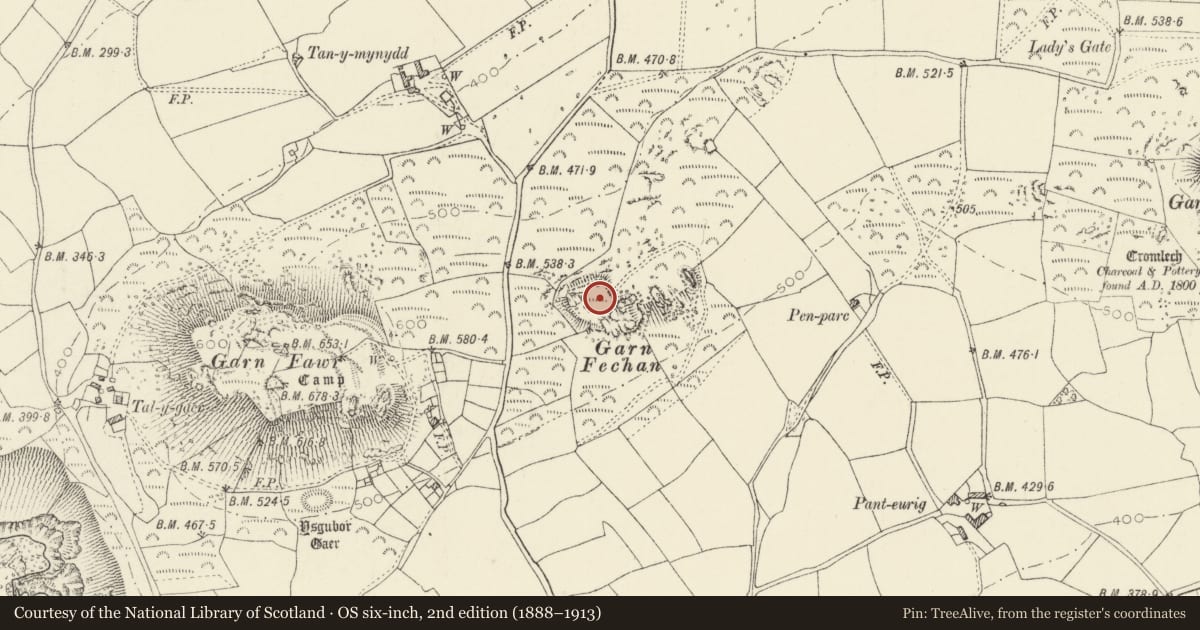 Ordnance Survey six-inch map, 2nd edition (1888–1913) covering the location of Garn Fechan Camp, Pencaer, Pembrokeshire, with a pin at the register's coordinates