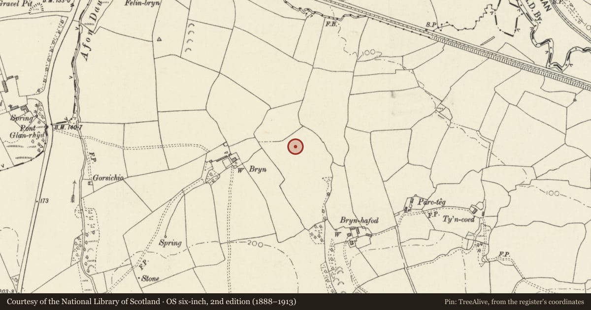 Ordnance Survey six-inch map, 2nd edition (1888–1913) covering the location of Roman Road 300m East of Bryn Farm, Llanddewi Velfrey, Pembrokeshire, with a pin at the register's coordinates