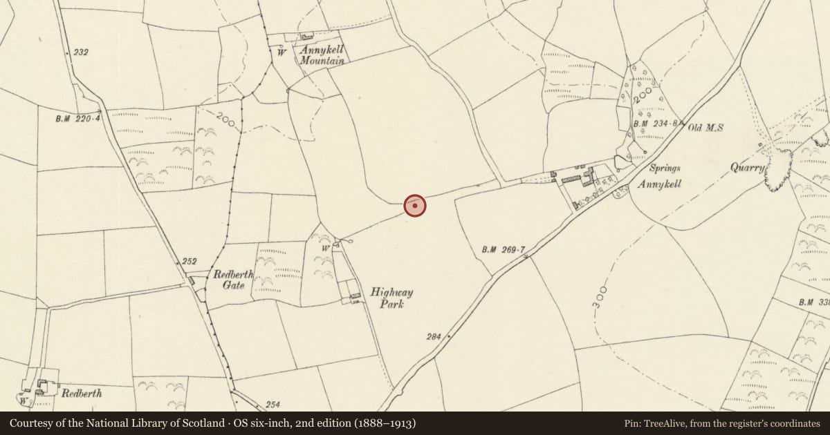 Ordnance Survey six-inch map, 2nd edition (1888–1913) covering the location of Burnt Mound 240m NE of Highway Park, Tiers Cross, Pembrokeshire, with a pin at the register's coordinates